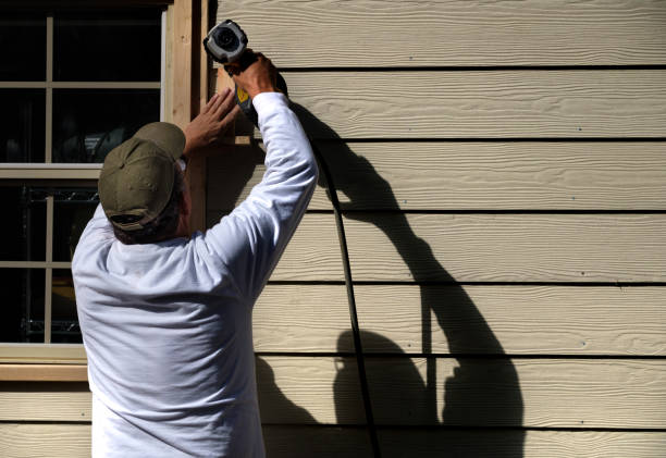 Best Custom Siding Design  in Dexter, NM